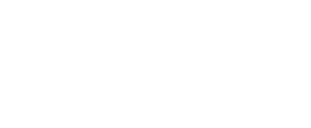 Partner Logo 1