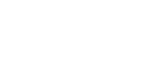 Partner Logo 4